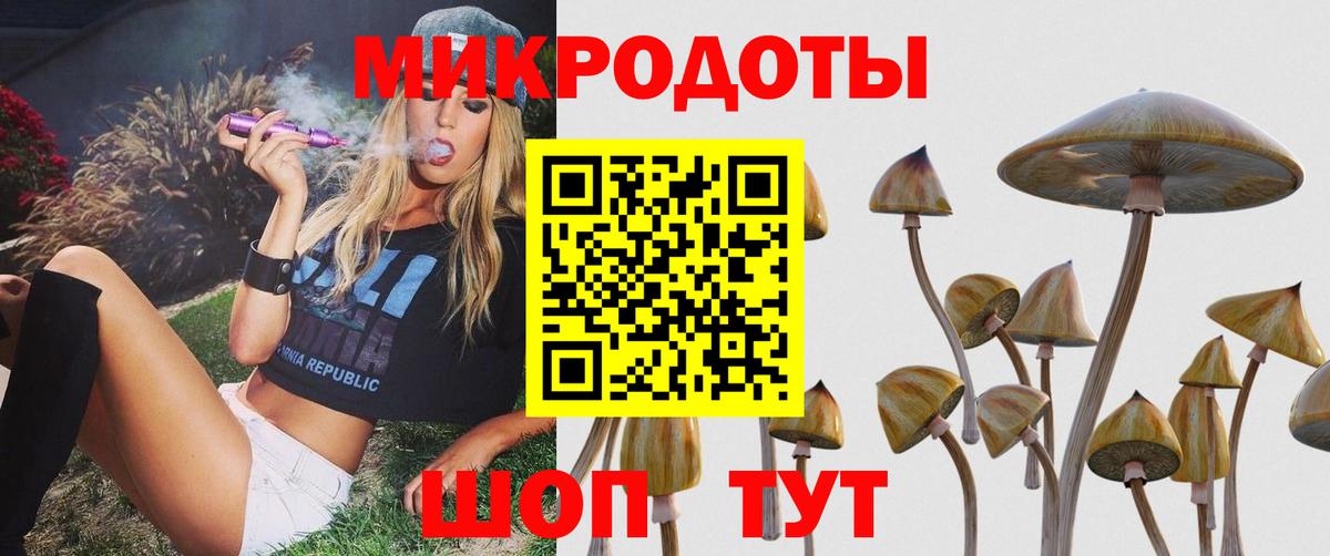 Галлюциногенные грибы прущие грибы Кимовск