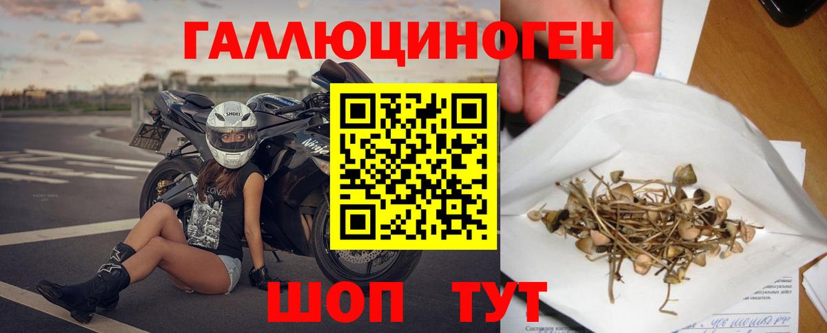Галлюциногенные грибы прущие грибы  Псилоцибиновые грибы мицелий  что такое   Кимовск  Вход с VPN 